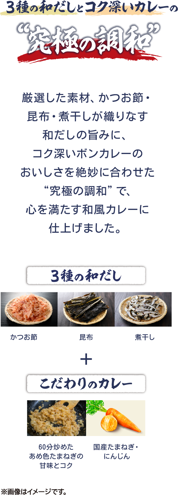 3種の和だしとコク深いカレーの究極の調和